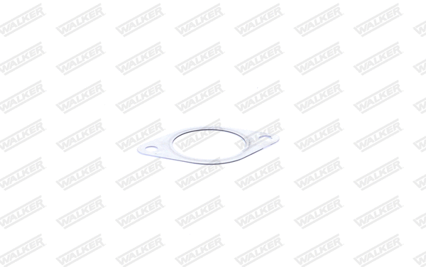 Gasket, exhaust pipe