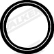 Gasket, exhaust pipe (80316)