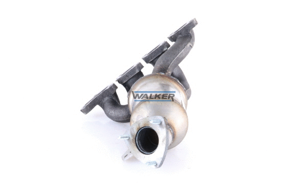 Catalytic Converter (28760)