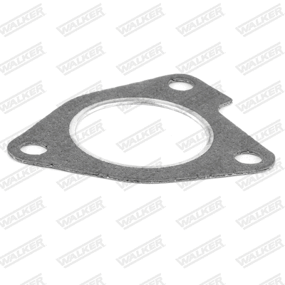 Gasket, exhaust pipe