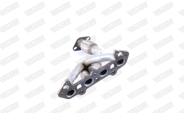 Exhaust Pipe