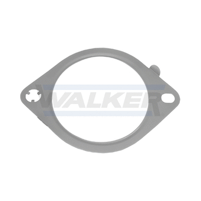 Gasket, exhaust pipe