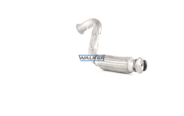 Exhaust Pipe