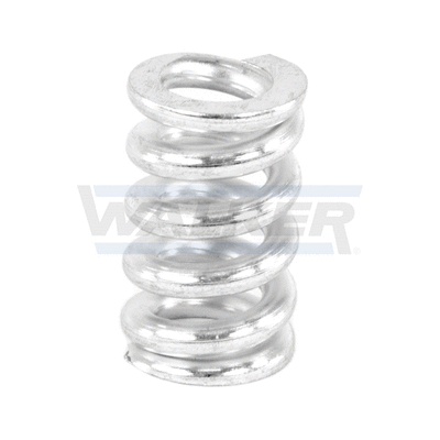 Spring, muffler