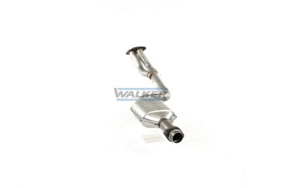 Catalytic Converter (20325)