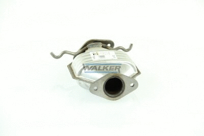 Catalytic Converter (20442)