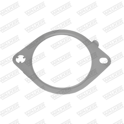 Gasket, exhaust pipe