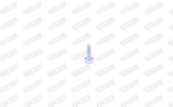 Bolt, exhaust system