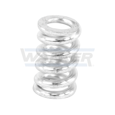 Spring, muffler
