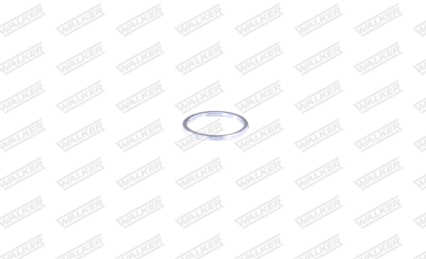 Gasket, exhaust pipe