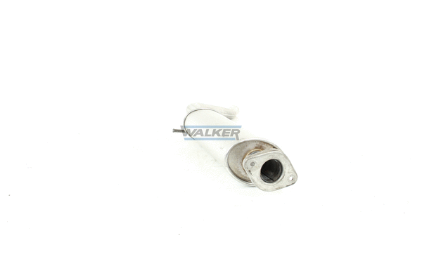 Centre Muffler