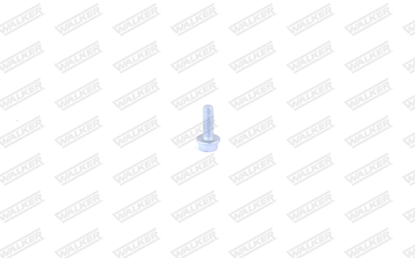 Bolt, exhaust system