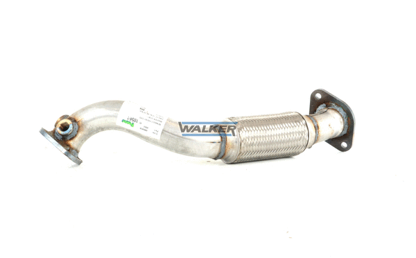 Exhaust Pipe