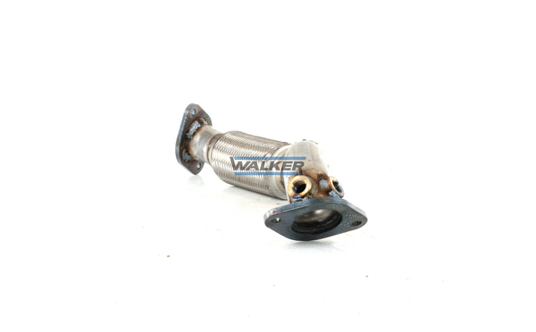 Exhaust Pipe