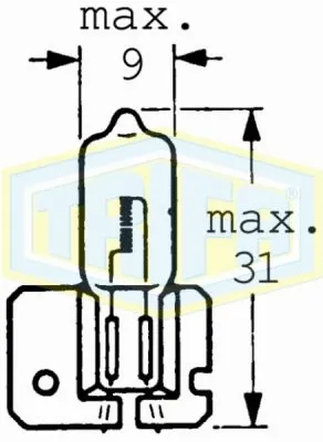 Bulb, front fog light (01645)
