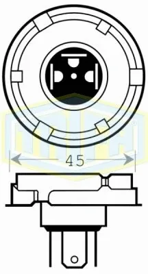 Bulb, headlight (01620)