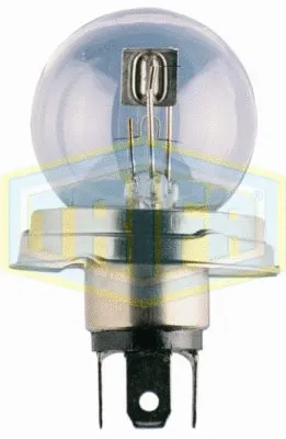 Bulb, spotlight (00501)