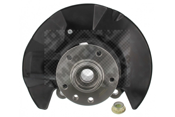 Repair Kit, steering knuckle