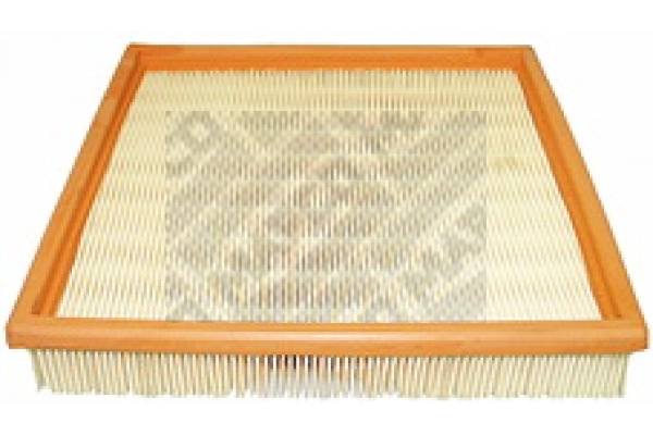 Air Filter (60020)