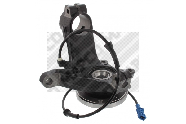 Repair Kit, steering knuckle