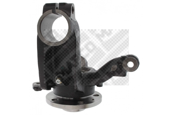 Repair Kit, steering knuckle