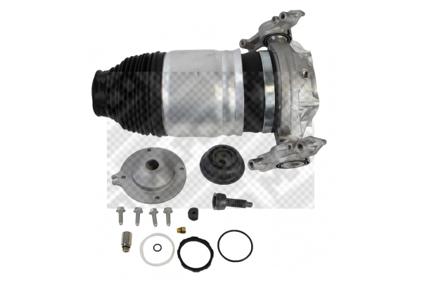 Air Spring, suspension (40730)