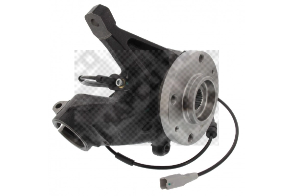 Repair Kit, steering knuckle