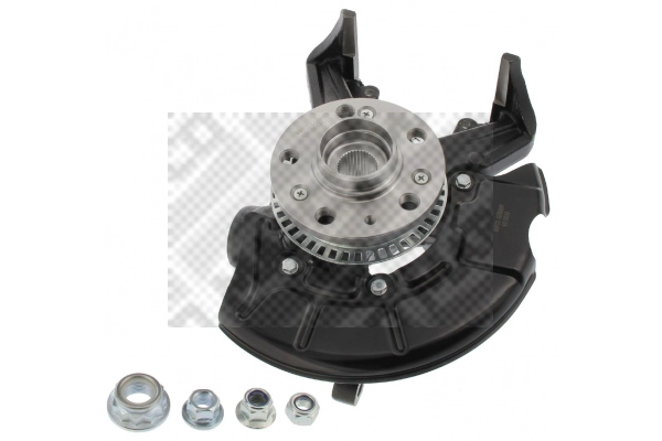 Repair Kit, steering knuckle