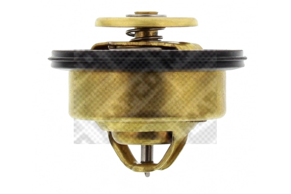 Thermostat, coolant (28900)