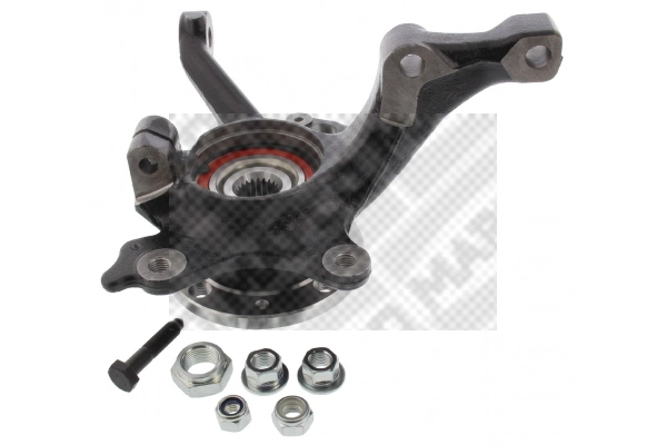 Repair Kit, steering knuckle