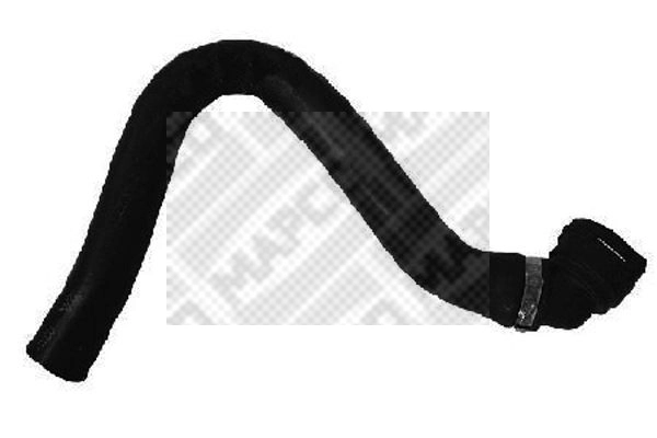 Radiator Hose (39354)