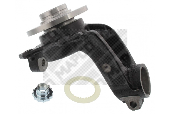 Repair Kit, steering knuckle