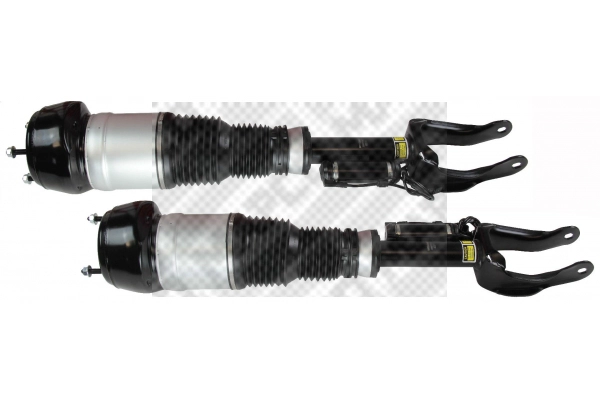 Air Spring, suspension (40870/1)