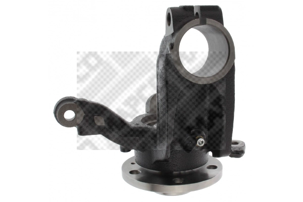 Repair Kit, steering knuckle