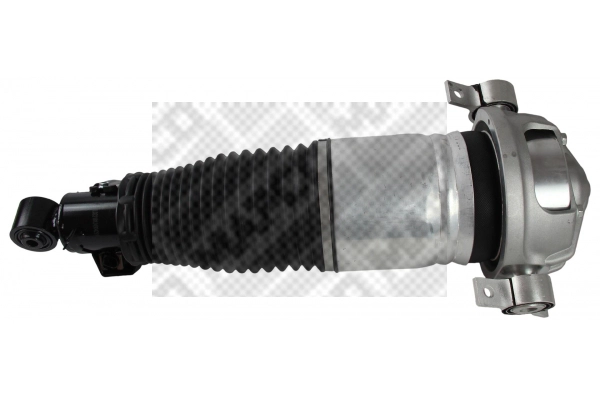 Air Suspension Strut (40835)