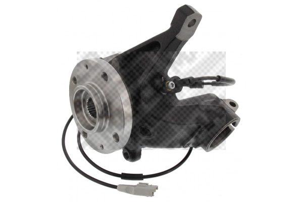 Repair Kit, steering knuckle