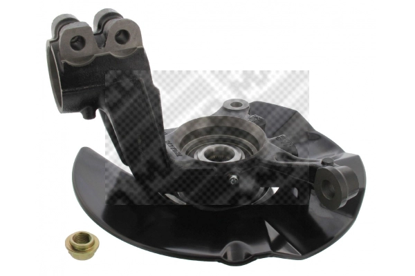 Repair Kit, steering knuckle