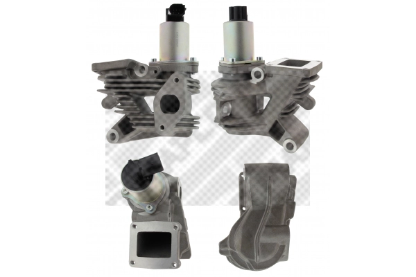 EGR Valve