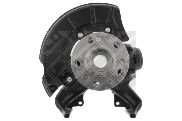 Repair Kit, steering knuckle