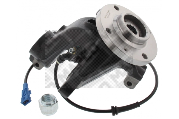 Repair Kit, steering knuckle (107404/4)