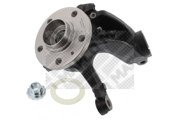 Repair Kit, steering knuckle