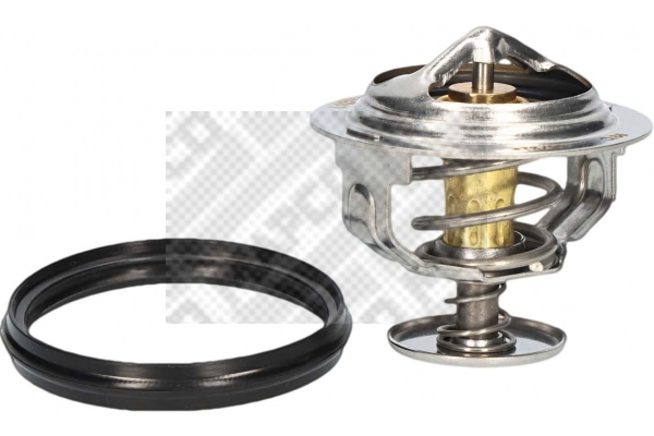 Thermostat, coolant (28069)