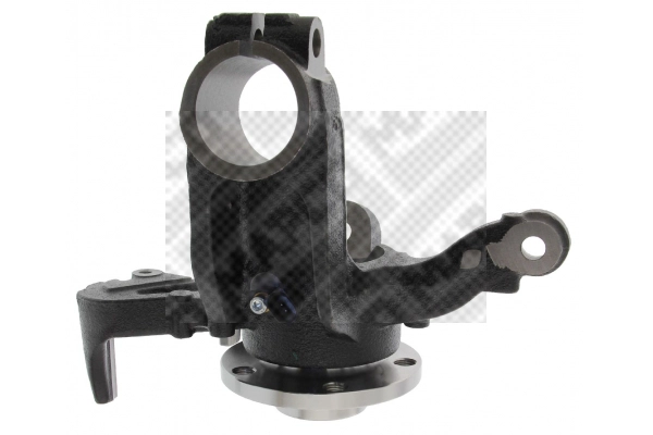 Repair Kit, steering knuckle