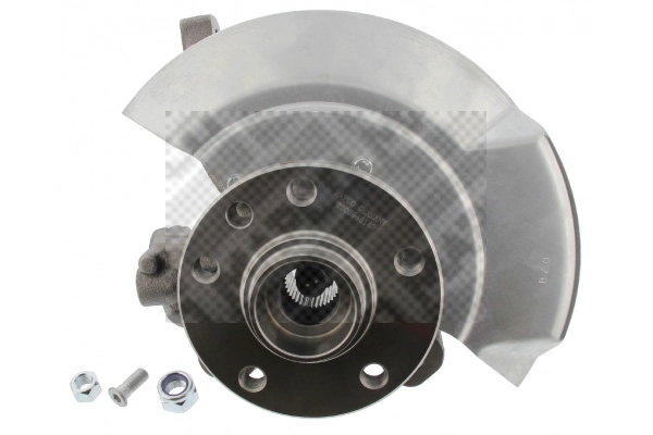 Repair Kit, steering knuckle