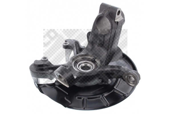 Repair Kit, steering knuckle