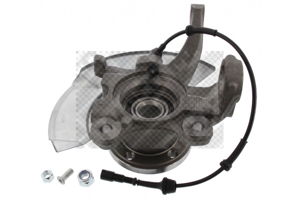 Repair Kit, steering knuckle