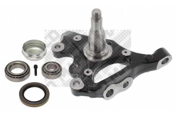 Repair Kit, steering knuckle (107851/1)