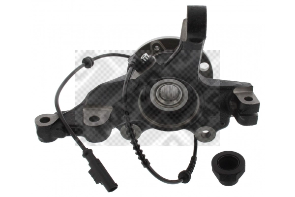 Repair Kit, steering knuckle