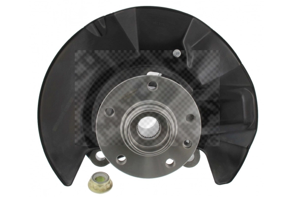 Repair Kit, steering knuckle