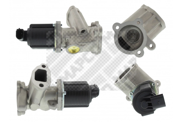 EGR Valve